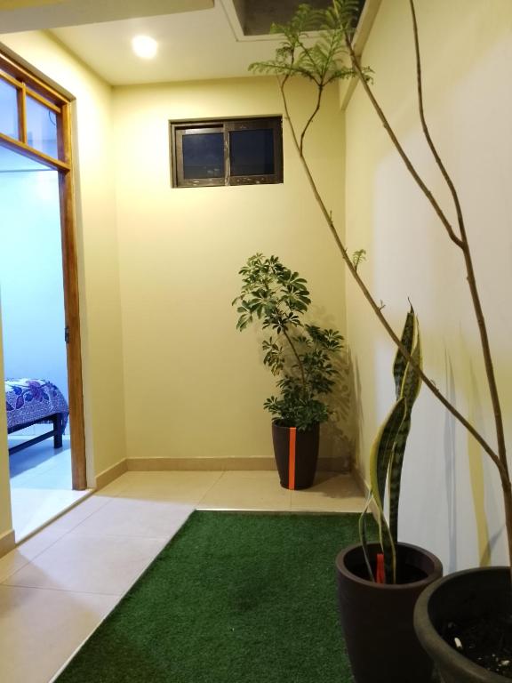 a living room with two potted plants and a green rug at Lolitas Alojamiento Quillacollo in Cochabamba