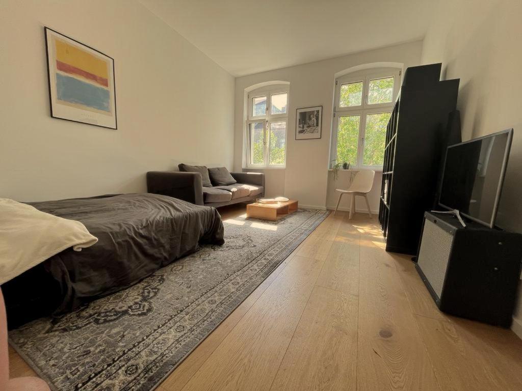 een slaapkamer met een bed, een bank en een televisie bij Room in the center of Berlin in Berlijn