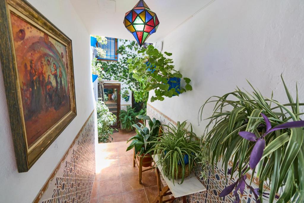 A garden outside Casa el "Tablao de las Almendras"