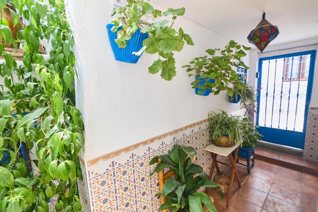 A garden outside Casa el "Tablao de las Almendras"