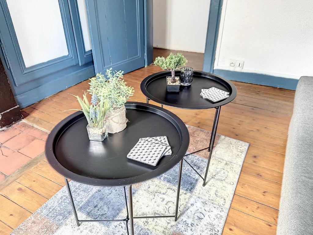 two black tables with plants on them in a room at Bluepart 4 personnes in Chalons en Champagne