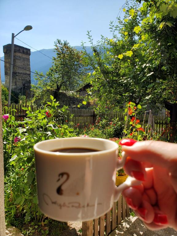 Zahrada ubytování Ailama Guesthouse