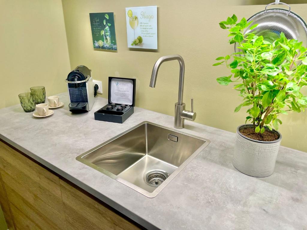 Villa Wickenburg - 12