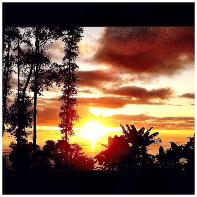 Main Hale on Ohia Malu Sanctuary in South Kona, Papa Bay Estates