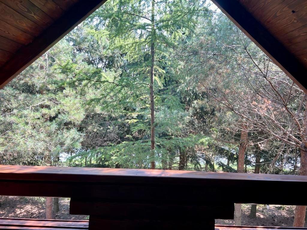 a window in a cabin with a view of trees at Family Resort in Mostiska