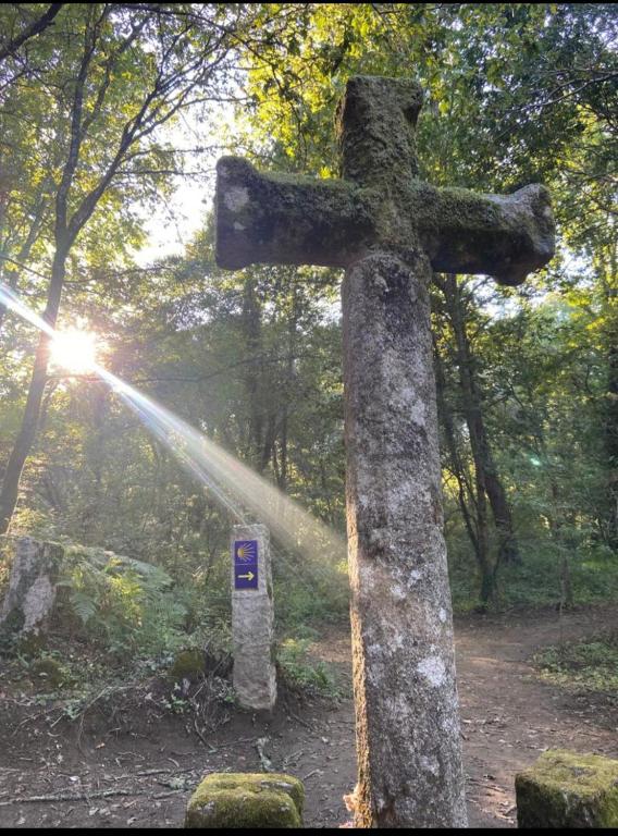 Casa Celia Camino Portugues - 17