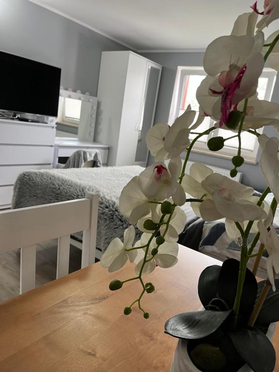 a vase with white flowers sitting on a table at Pokoje gościnne U Sylwii in Jarosławiec