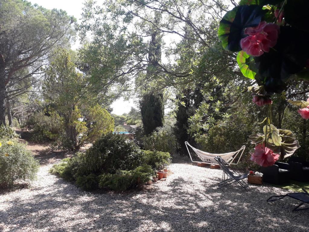 hamak w ogrodzie z drzewami i kwiatami w obiekcie Chalet les Cigalines au calme w mieście Fabrezan