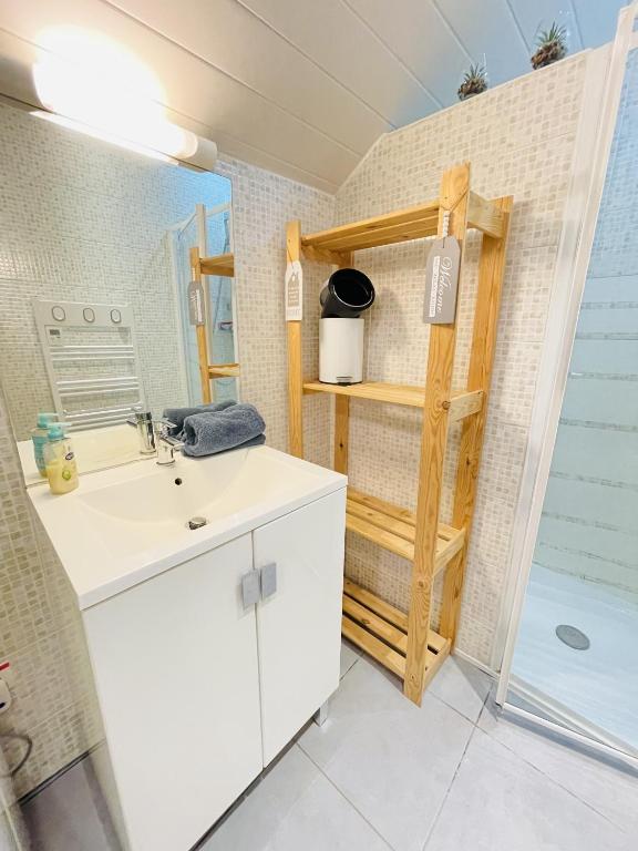 a bathroom with a sink and a shower at Gite du Moulin in Saint-Laurent-dʼAndenay