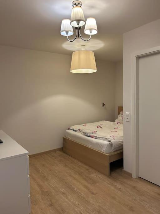 Boardinghouse Rheinfelden 1, Rheinfelden (updated prices 2024)