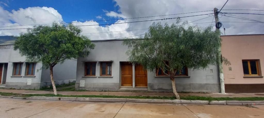 una casa blanca con dos árboles delante de ella en ¨Casa lo de Lalo¨ en Volcán