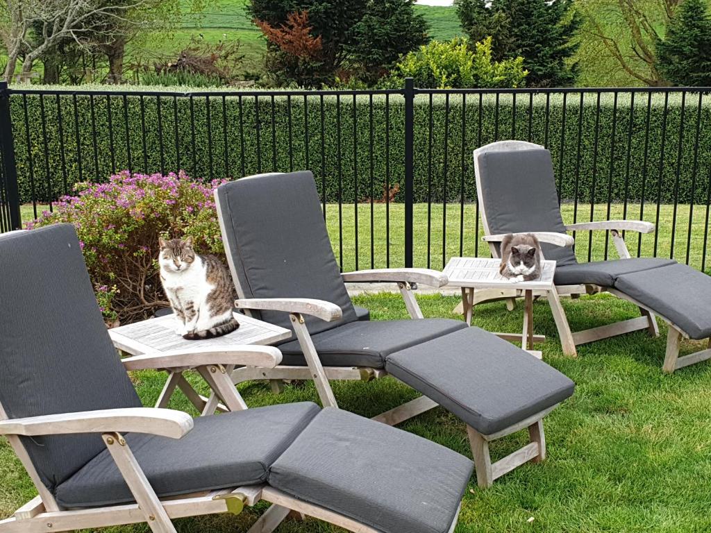 Shargmor Stable - Resim 15