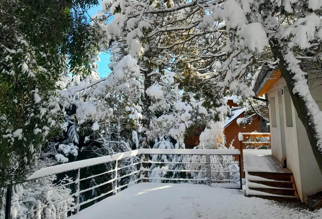un árbol cubierto de nieve junto a una casa con una valla en La Casita de las Vertientes en San Carlos de Bariloche