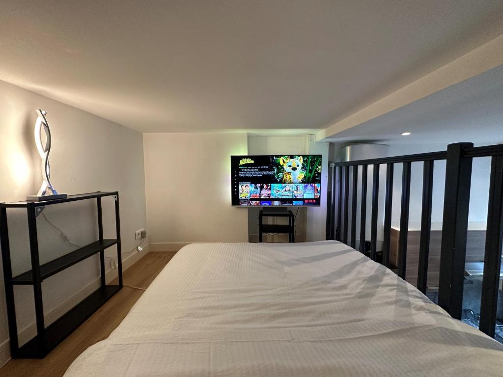 a bedroom with a bed and a flat screen tv at Spacious LOFT near JARDIN du LUXEMBOURG in Paris