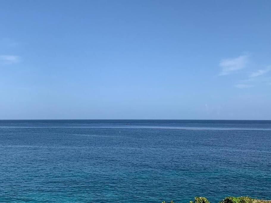 a large body of blue water with trees in the foreground at Irie Vibes Ocean View in Negril