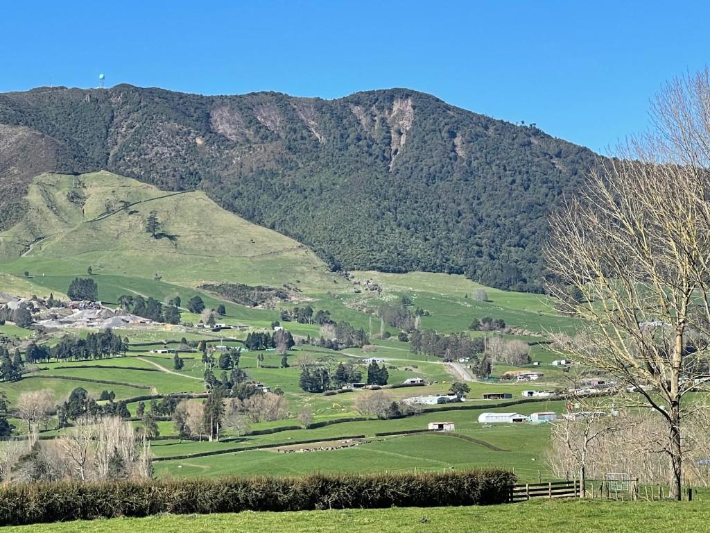 a green valley with a mountain in the background at Okauia Lodge in Matamata