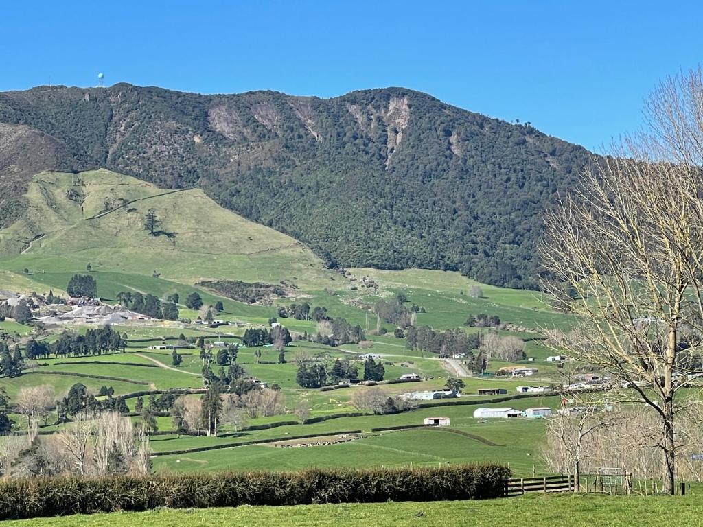 Okauia Lodge photo