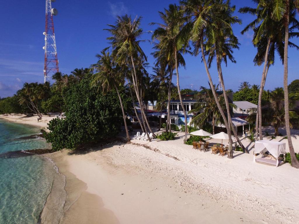 una spiaggia sabbiosa con palme e l'oceano di Batuta Maldives Surf View a Thulusdhoo