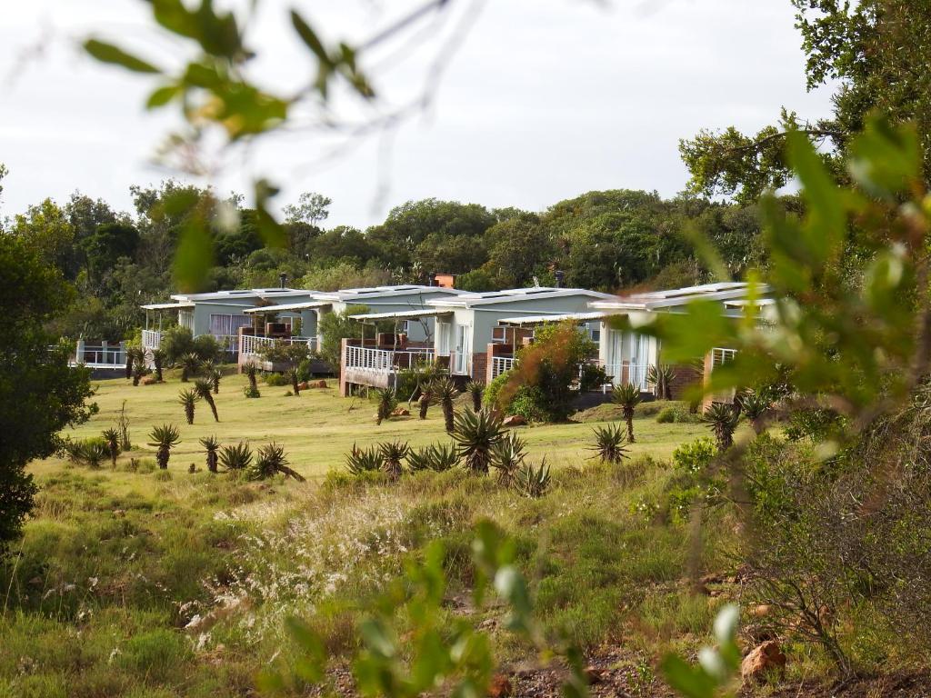 a row of houses in a field with trees at Stoneyvale Cottages in Grahamstown