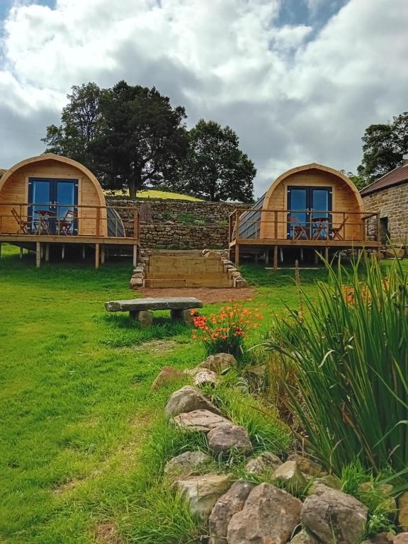 a couple of yurt homes in a field at Coombs glamping pods in Danby