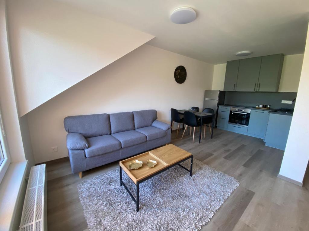 Kuchyňa alebo kuchynka v ubytovaní Černá Růže- Apartmán 5