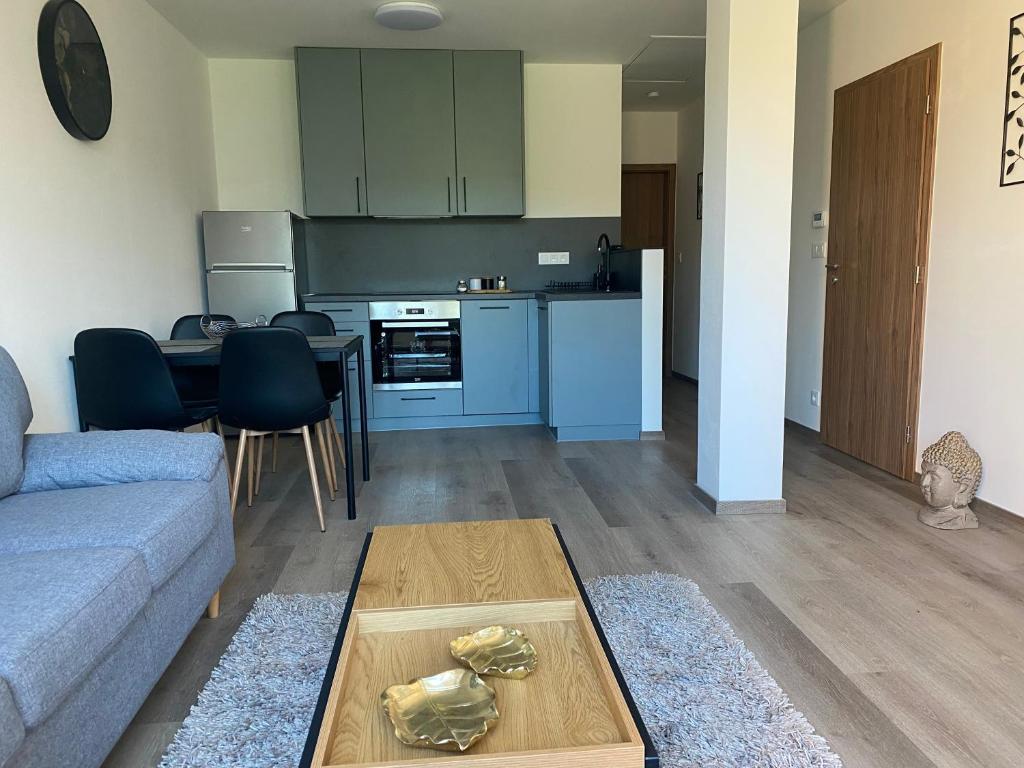 Kuchyňa alebo kuchynka v ubytovaní Černá Růže- Apartmán 5