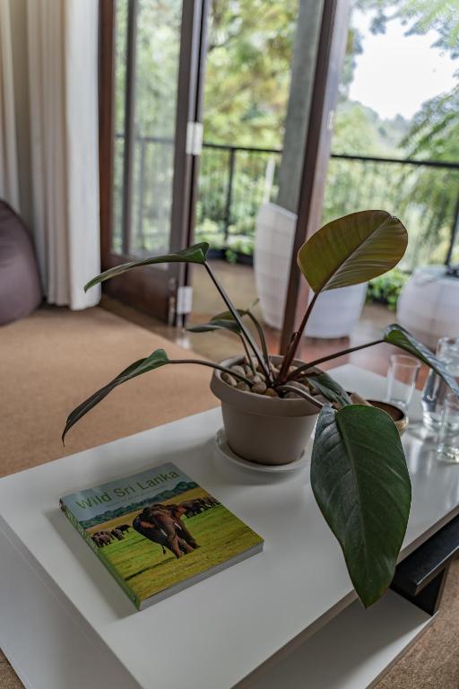 Star Gaze Lodge - 19