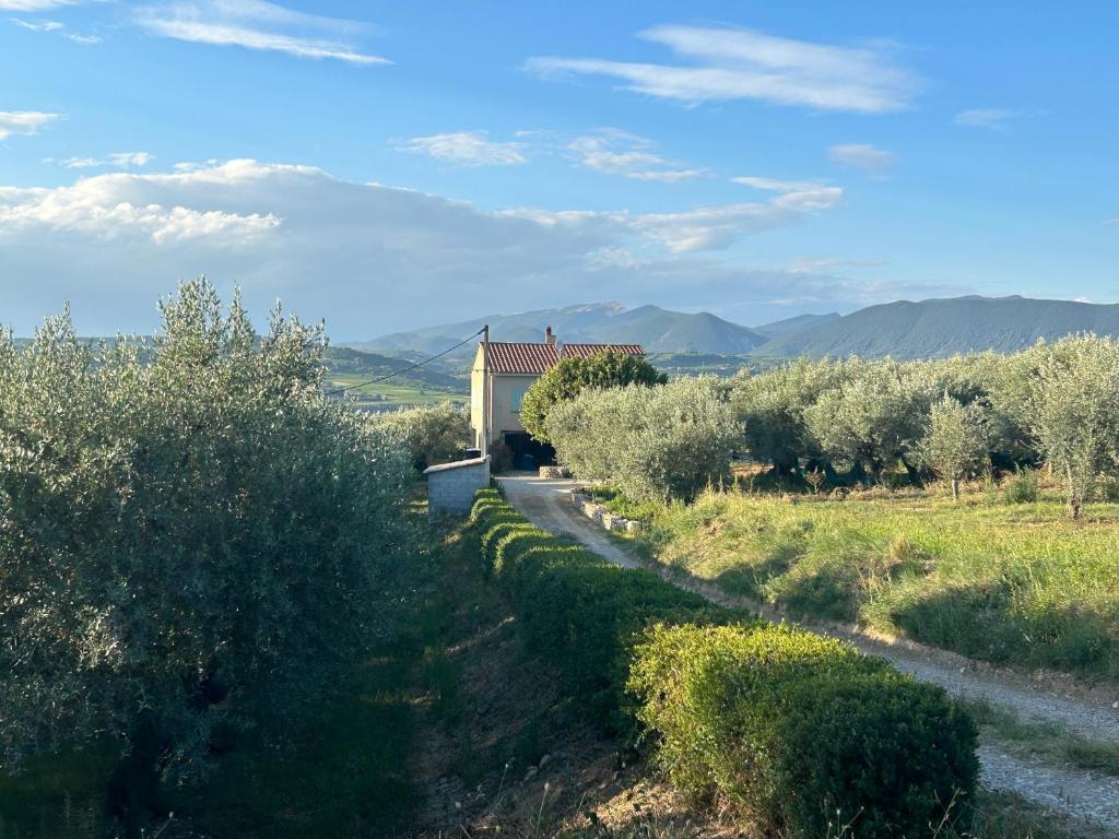 Un camino en un campo con árboles y un edificio. en Villa la Montée, en Mirabel-aux-Baronnies