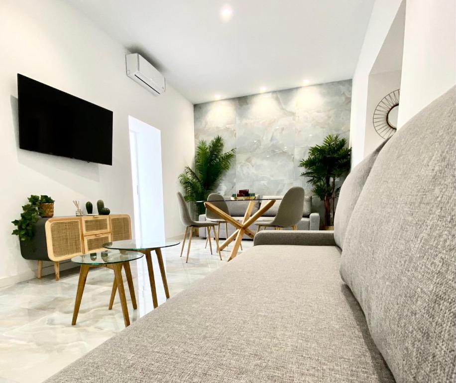 a living room with a couch and a tv on a wall at Apartamento Isasa in Córdoba