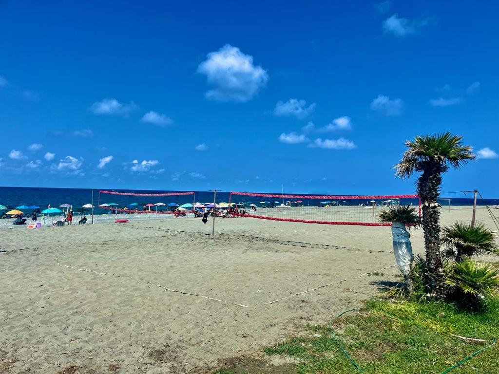 - une plage avec un filet de volley-ball et un palmier dans l'établissement Riva del Golfo Casa Vacanze, à Campora San Giovanni