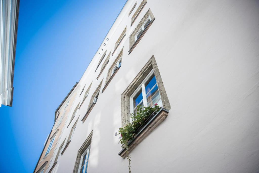 Hotel Wolf - Resim 28