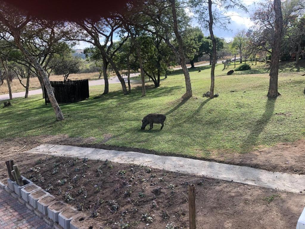 Fotografie z fotogalerie ubytování Khululeka Safaris Lodge v destinaci White River