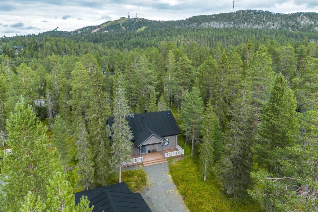 an aerial view of a house in the middle of a forest at Rukan Lumikonpesä in Ruka