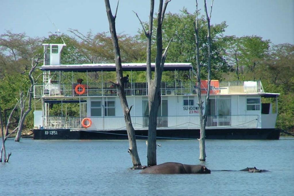 un bateau dans l'eau avec un cheval au premier plan dans l'établissement Houseboat with aircon and splash pool - 2128, à Kariba