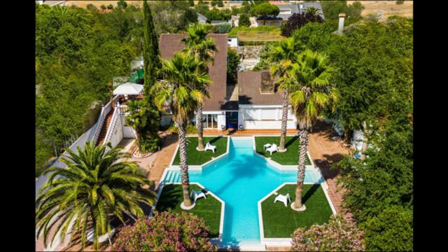 einen Luftblick auf einen Pool mit Palmen in der Unterkunft Villas en Toledo in Villaluenga