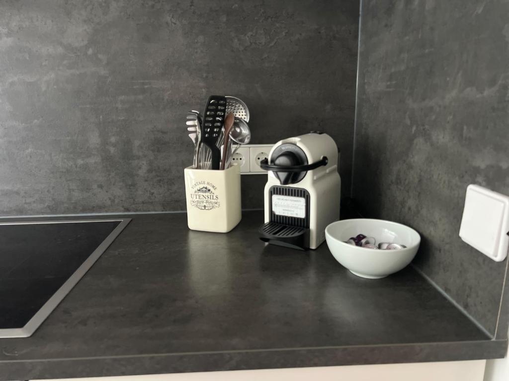 Kuchyň nebo kuchyňský kout v ubytování Steinach Apartment