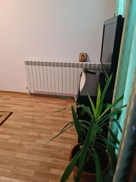 TV a/nebo společenská místnost v ubytování Vilă cazare muncitori