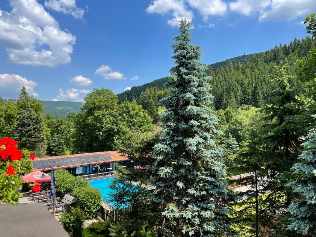 Nespecifikovaný výhled na hory nebo výhled na hory při pohledu z hotelu