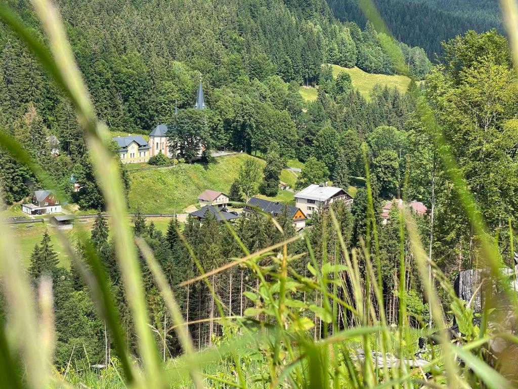 Příroda nedaleko hotelu