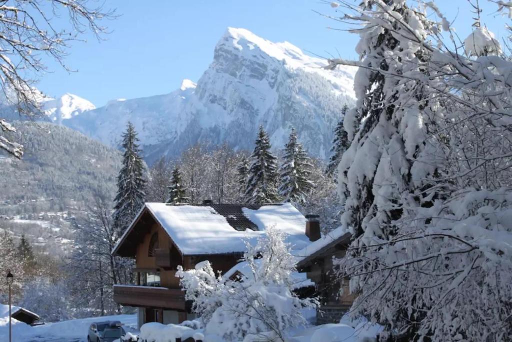 a snow covered cabin with a mountain in the background at Au Rêve Savoyard 5 in Morillon