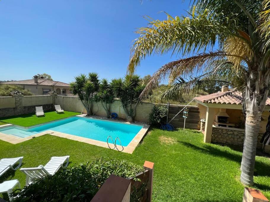 un patio trasero con una piscina y una palmera en Apartoyou - Chalet & Pool, en El Puerto de Santa María