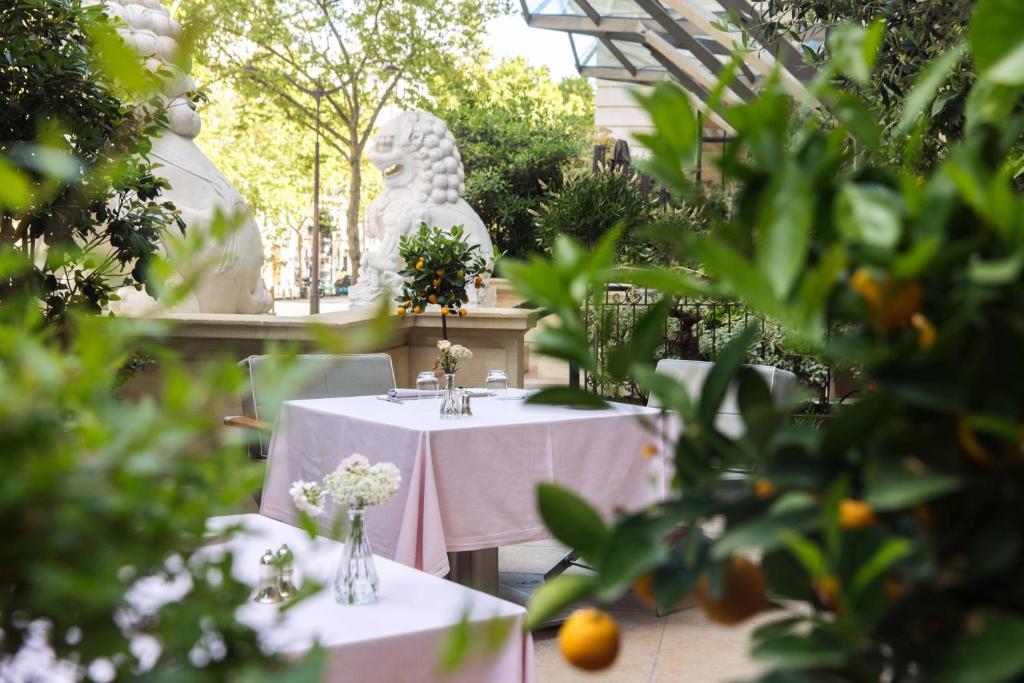 Zahrada ubytování The Peninsula Paris