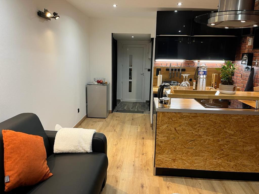Escale Studio Gonesse في غونيس: غرفة معيشة مع أريكة ومطبخ