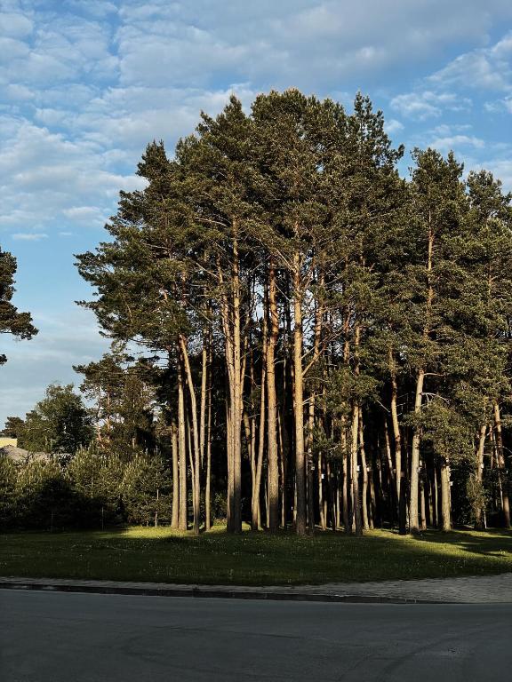 Naturlandschaft in der Nähe des Hotels