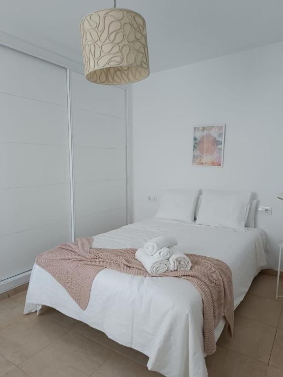 Fotografie z fotogalerie ubytování SHERRY SUITES VIII Apartamentos PARKING GRATUITO v destinaci Jerez de la Frontera