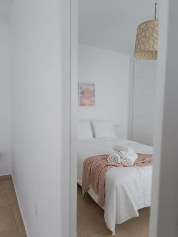 Fotografie z fotogalerie ubytování SHERRY SUITES VIII Apartamentos PARKING GRATUITO v destinaci Jerez de la Frontera