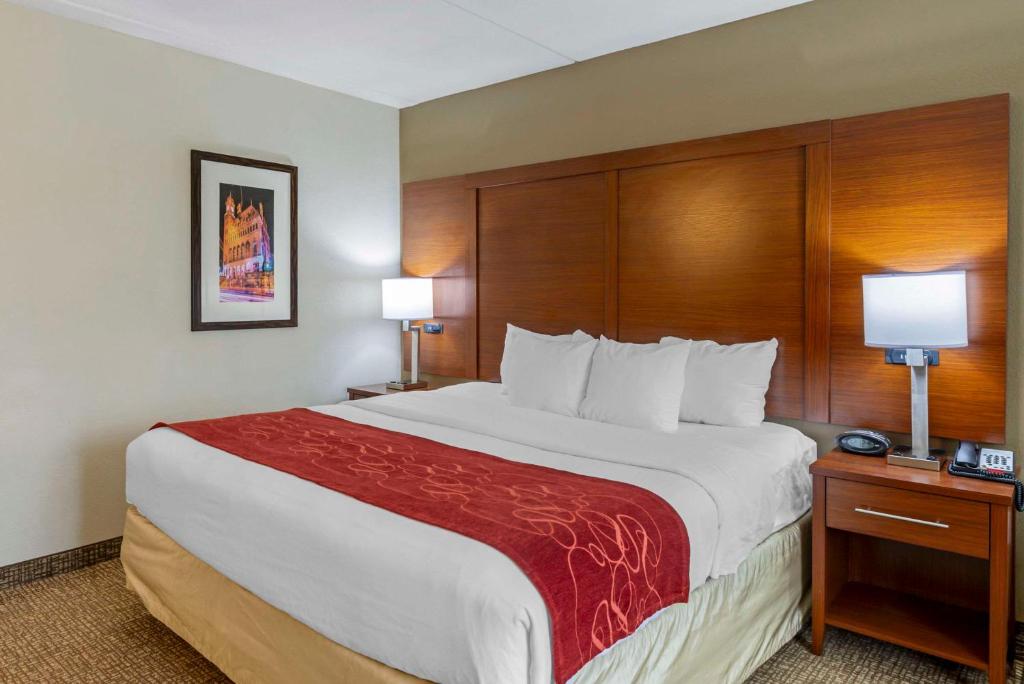 Comfort Suites At Virginia Center Commons - Standardzimmer Mit Kingsize-Bett
