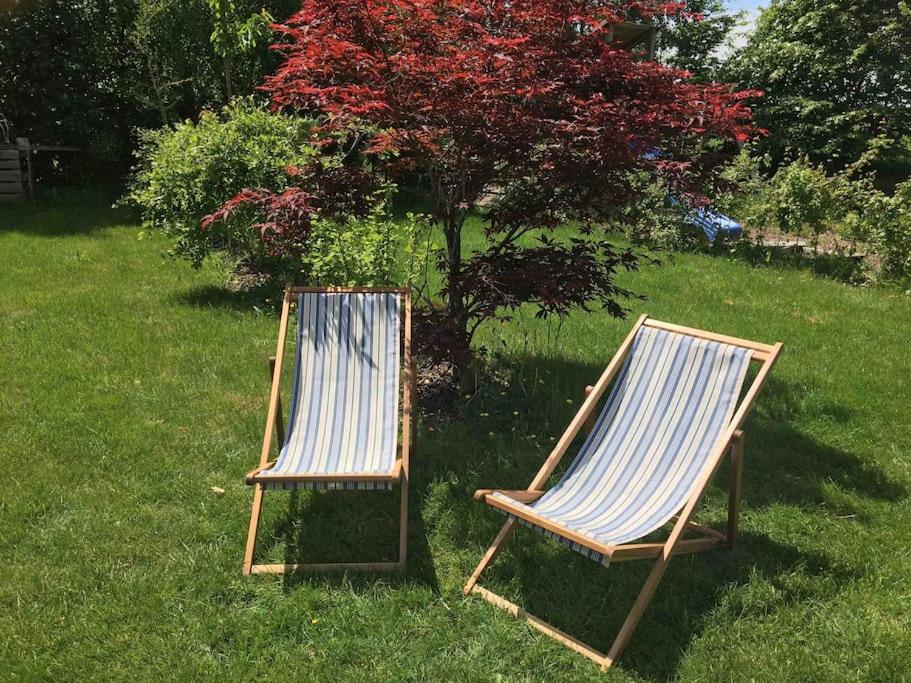 Zahrada ubytování La Casa Kemtio
