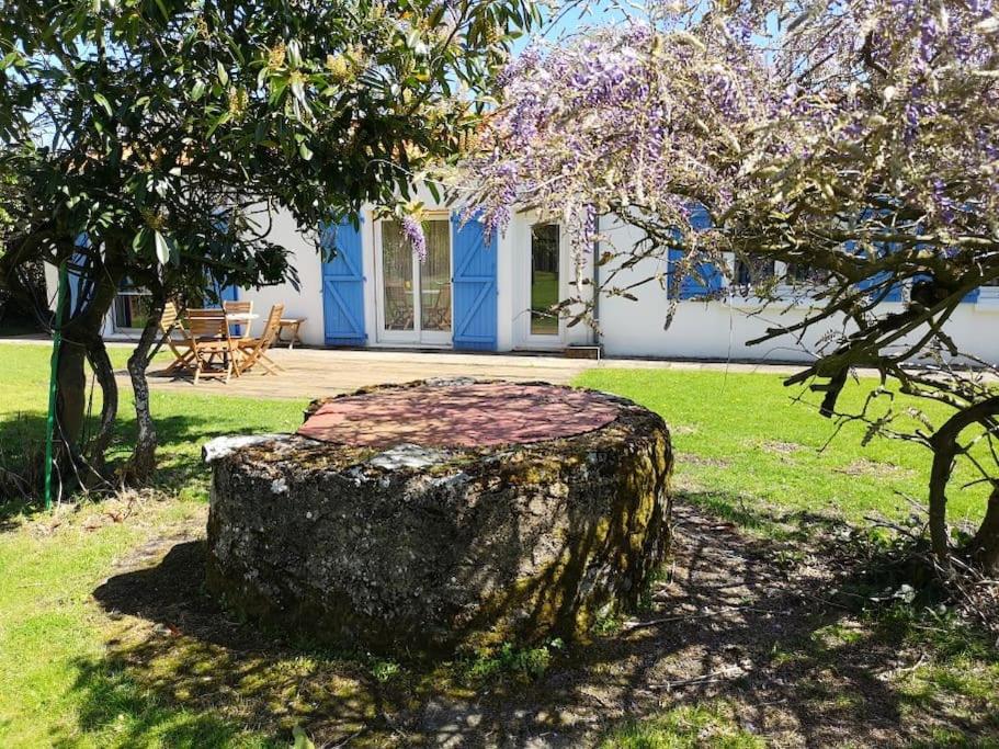 une crevette d'arbre assise dans l'herbe devant une maison dans l'établissement La Fauconnerie, à Bourgneuf-en-Retz