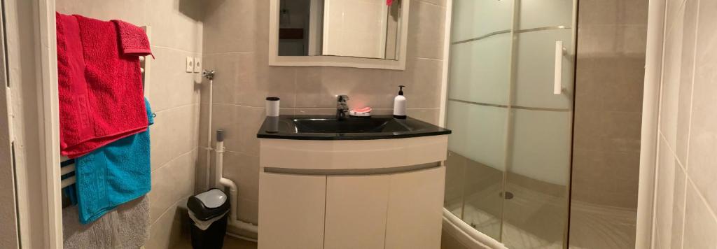 y baño con lavabo y ducha. en Appartement cosy à 30 min Paris, Disney, CDG, en Chelles